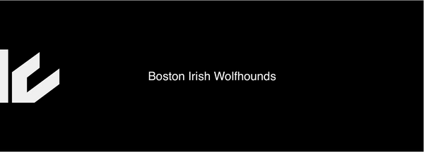 Boston Irish Wolfhound