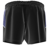 NCR All Stars North Atlantic Gym Shorts - Womens