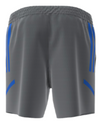 UCSB Gym/Training Shorts