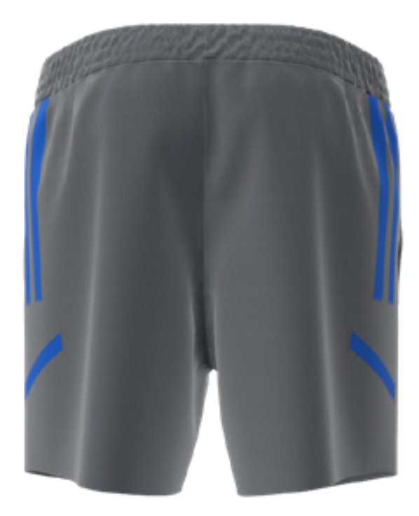 UCSB Gym/Training Shorts