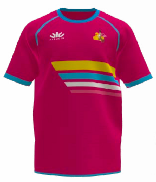 Naked Pilgrims Reversible Training Tee