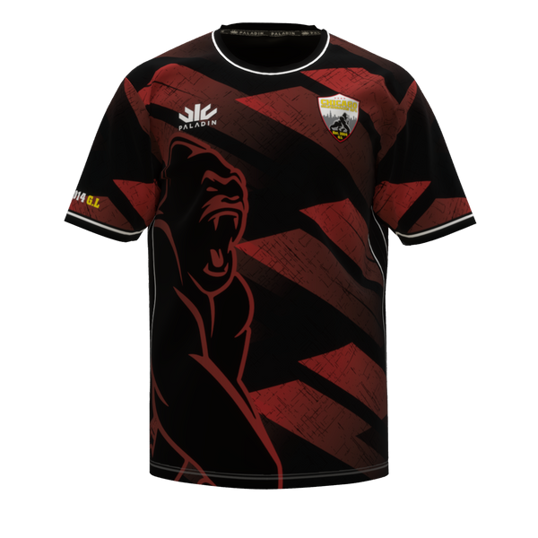Chicago Silverbacks Training Tee