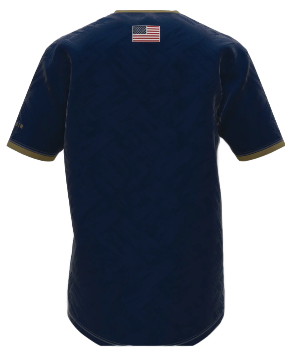 Pensacola Aviators Training Tee