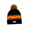 Team Attractive Beanie