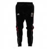 Wisconsin RC Tapered Sweatpants with Ankle Zipper