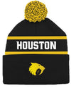 Sabercats Beanie